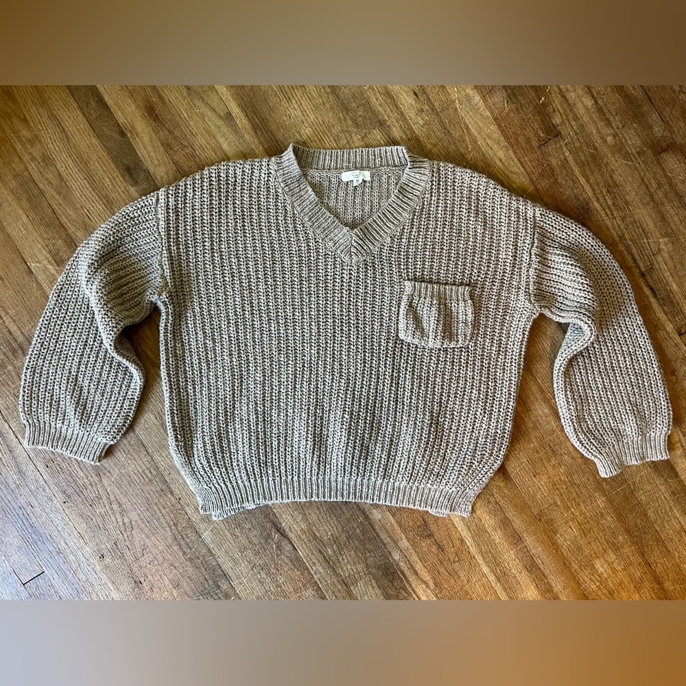 𝐄𝐀𝐒𝐄𝐋 Cropped V Neck Sweater